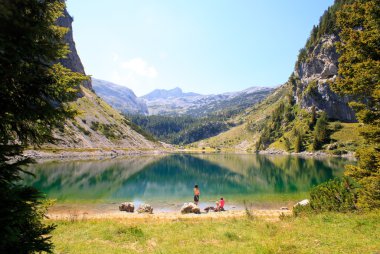 alanlarında otlatma