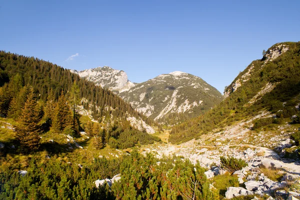 Montagna di Krn — Foto Stock