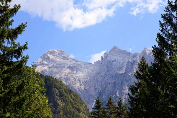 Альпы Джулиана — стоковое фото
