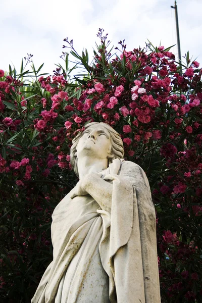 Statue à côté de la cathédrale de Catane — Photo