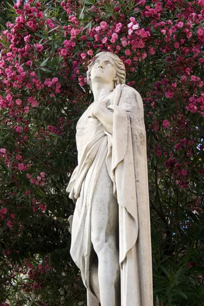 Статуя біля собору Катанії — стокове фото