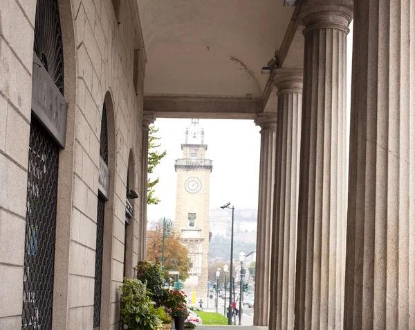 Säulen, Bergamotte — Stockfoto