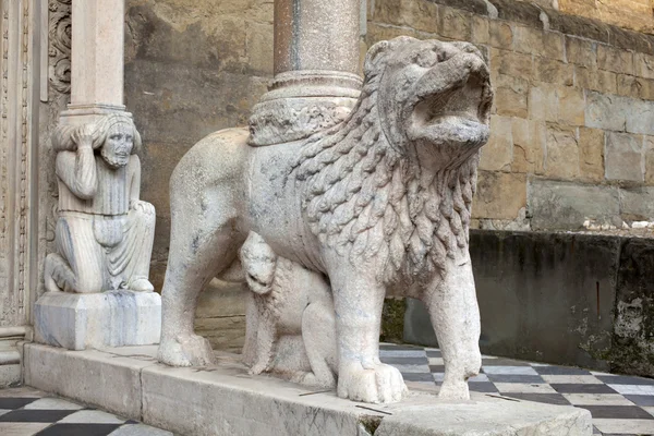 Lwy wspieranie kolumny, Bazylika santa maria maggiore, — Zdjęcie stockowe