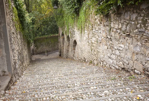 Antigua escalera en el bosque, Bérgamo — Foto de Stock