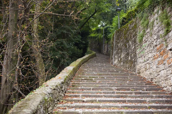 Old Staircase in the grove, Bergamo — Stock Photo, Image