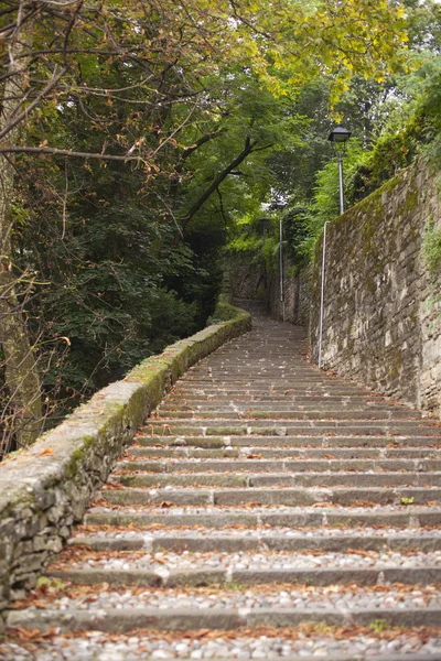 Escadaria velha no bosque, Bergamo — Fotografia de Stock