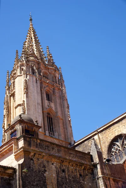 Дзвіниця собору башта Oviedo — стокове фото