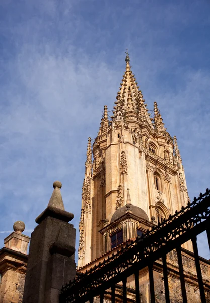 Bell tower i oviedo cathedral — Stockfoto