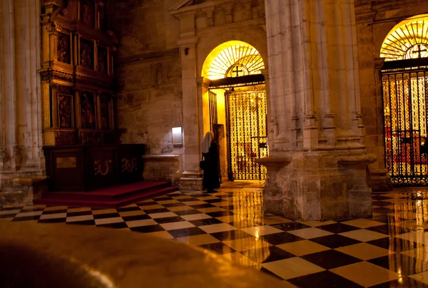 Interieur van de kathedraal van de Oviedo — Stockfoto