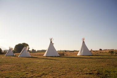 Tee Pees