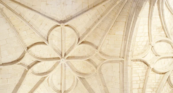 大聖堂の天井 — ストック写真