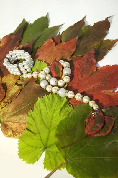 Halskette auf trockenen Blättern — Stockfoto