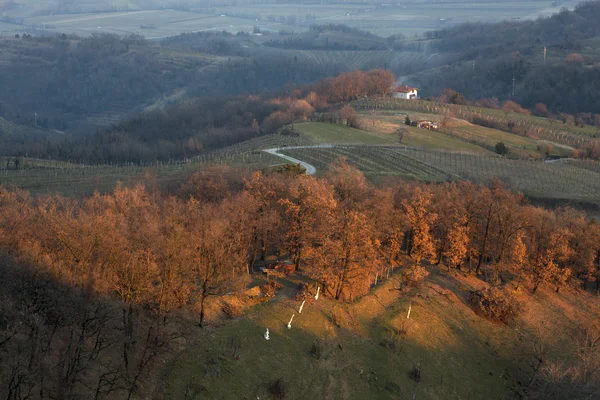 Sloven kırsal — Stok fotoğraf