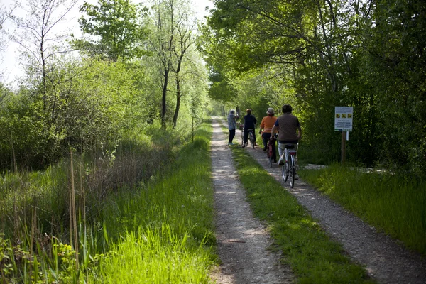 stock image Cycling in the park