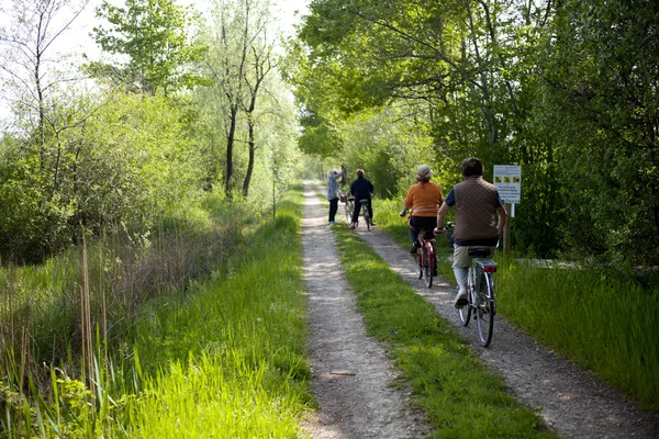 Stock image Cycling in the park