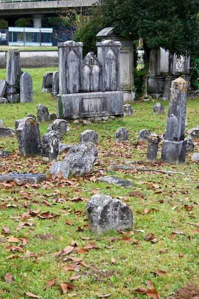 Oude Joodse begraafplaats — Stockfoto