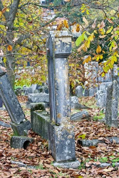 Старе єврейське кладовище — стокове фото