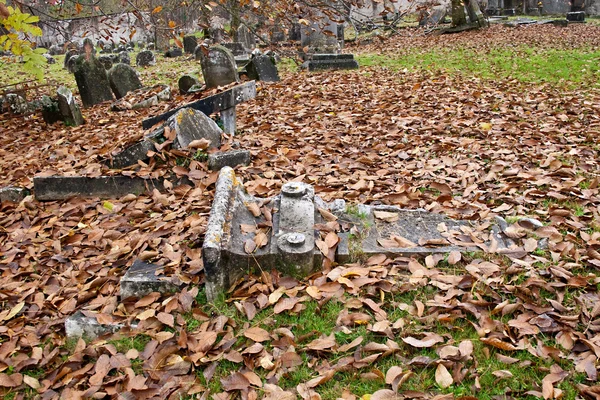 旧ユダヤ人墓地 — ストック写真