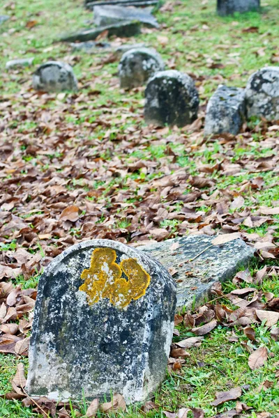Old Jewish Cemetery — Stock Photo, Image