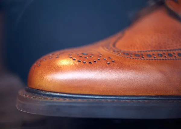 Elegantní pánská bota — Stock fotografie
