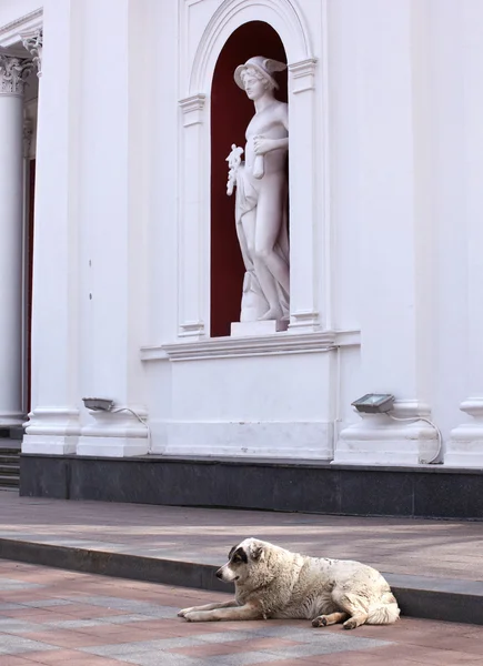 Estatua de Hermes, Odessa — Foto de Stock