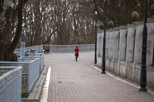 Sokakta yürüyen kadın — Stok fotoğraf