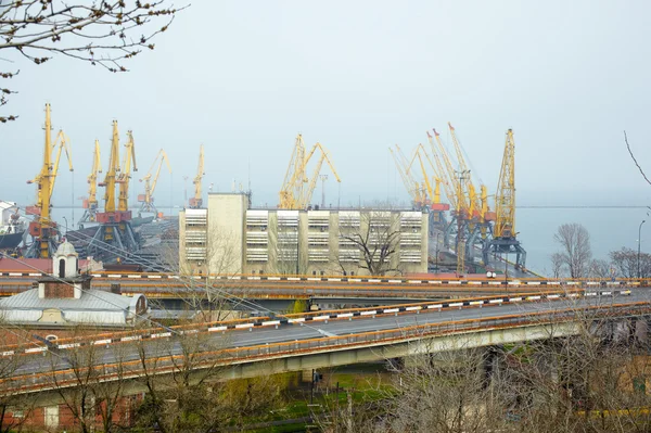 stock image Cargo port in Odessa