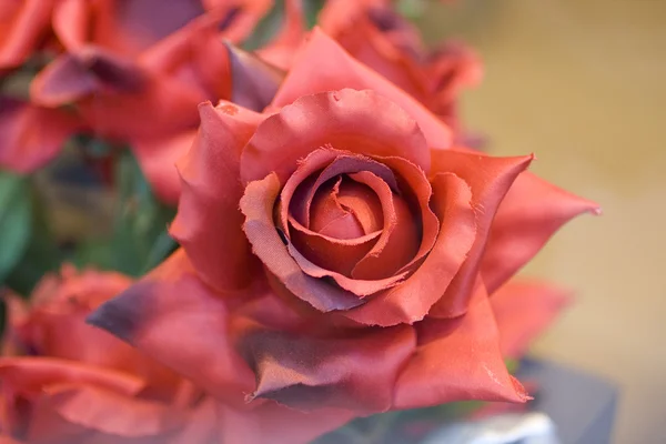 Rosas de papel — Fotografia de Stock