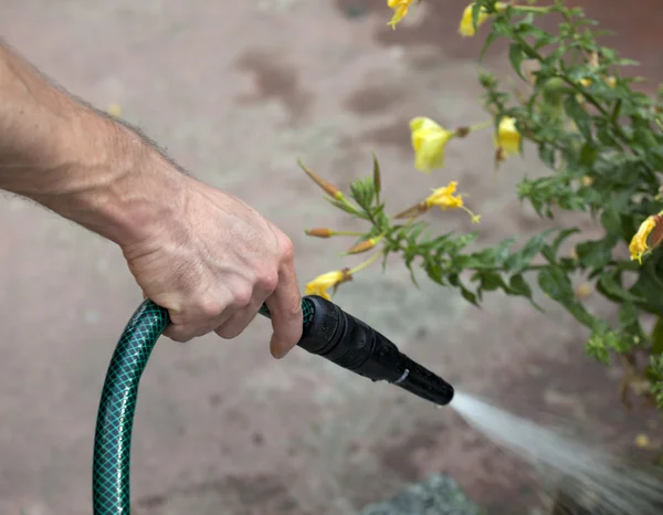De tuin water geven — Stockfoto