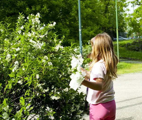 Barn samlar blommor — Stockfoto