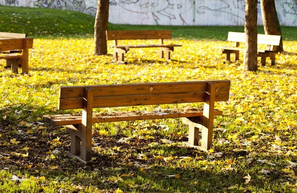 Скамейки осенью — стоковое фото