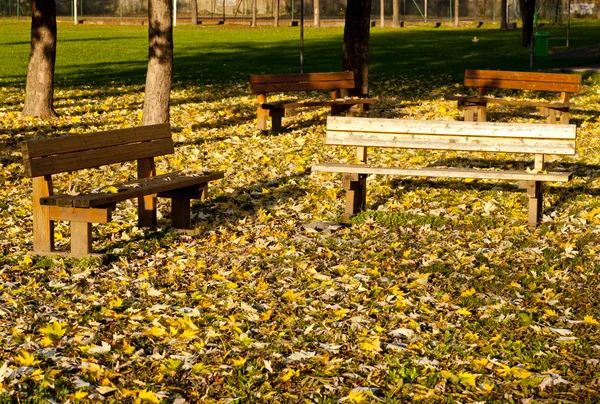 Ławki w jesieni — Zdjęcie stockowe