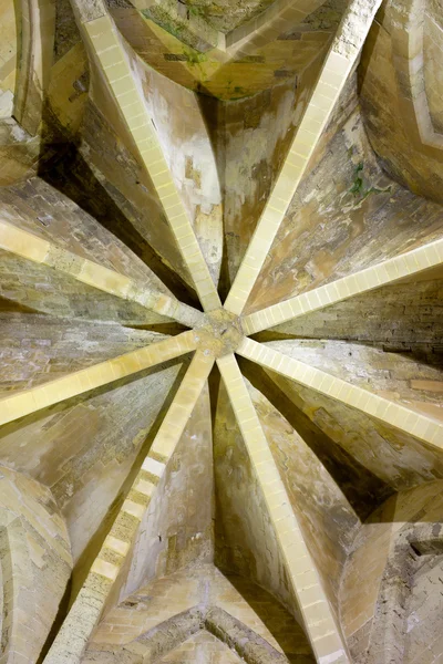 Frederick Kulesi, enna tavan — Stok fotoğraf