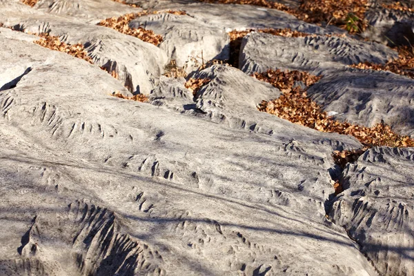 カルストの岩 — ストック写真