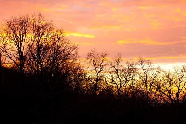 stock image Sunset