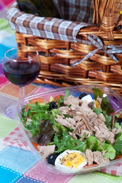 Salad with tuna and anchovies — Stock Photo, Image