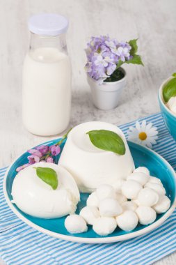Italian Mozzarella