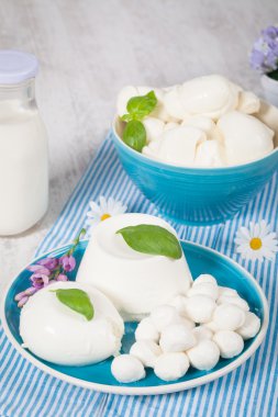Italian Mozzarella
