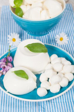 Italian Mozzarella