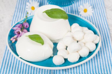 Italian Mozzarella