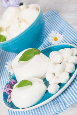 Italian Mozzarella