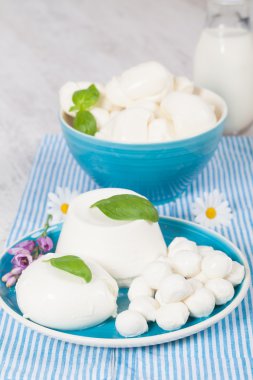 Italian Mozzarella