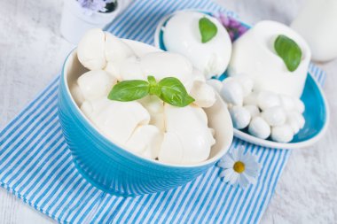 Italian Mozzarella