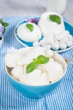 Italian Mozzarella