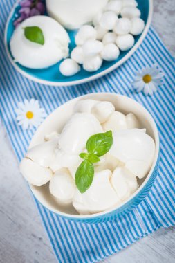 Italian Mozzarella