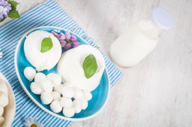 Italian Mozzarella