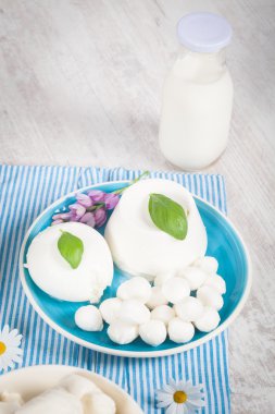Italian Mozzarella