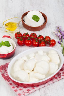 Italian Mozzarella