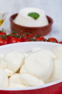 Italian Mozzarella