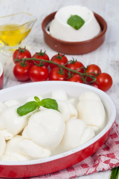 Italian Mozzarella — Stock Photo, Image